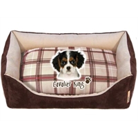 cuccia divanetto Cavalier King cuccia divanetto Cavalier King