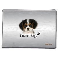 cuccia materasso Cavalier King