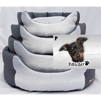 cuccia Pinscher trono 