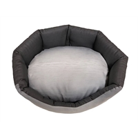 cuccia Bulldog Francese trono 